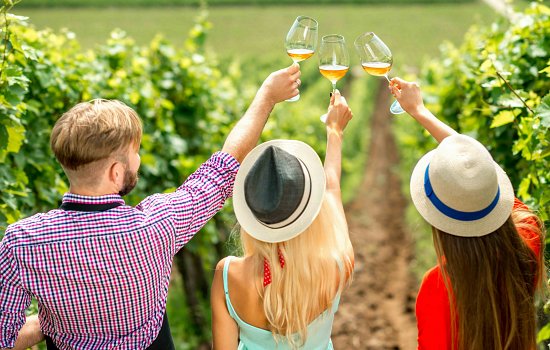 Degustazione Vini
