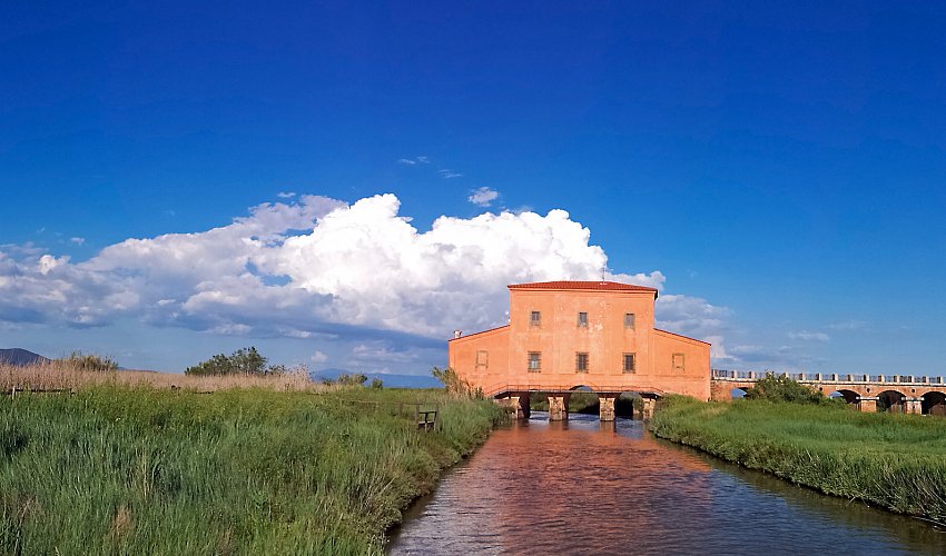 Riserva Naturale della Diaccia Botrona